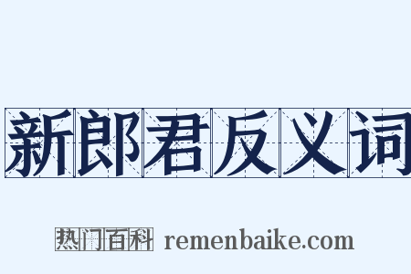 新郎君反义词是什么意思的图片